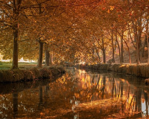 Zapatos cómodos caminando por una banqueta de la ciudad